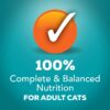 Purina Friskies Indoor Wet Cat Food Indoor Meaty Bits Saucy Seafood Bake in Sauce - (24) 5.5 oz. Cans