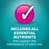 Purina Friskies Indoor Wet Cat Food Indoor Meaty Bits Saucy Seafood Bake in Sauce - (24) 5.5 oz. Cans