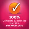 Purina Friskies Wet Cat Food Prime Filets With Salmon and Beef in Sauce - (24) 5.5 oz. Cans Purina Friskies Wet Cat Food Prime Filets With Salmon and Beef in Sauce - (24) 5.5 oz. Cans