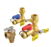 Rheem RTG20220AB Brass Service Valves for Tankless Water Heaters