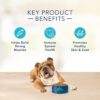 Blue Buffalo Basics Skin & Stomach Care Turkey and Potato Dry Dog Food for Adult Dogs Grain-Free 24 lb. Bag