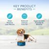 Blue Buffalo Life Protection Formula Healthy Weight Chicken and Brown Rice Dry Dog Food for Adult Dogs Whole Grain 6 lb. Bag Blue Buffalo Life Protection Formula Healthy Weight Chicken and Brown Rice Dry Dog Food for Adult Dogs Whole Grain 6 lb. Bag