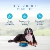 Blue Buffalo Life Protection Formula Large Breed Chicken and Brown Rice Dry Dog Food for Adult Dogs Whole Grain 24 lb. Bag