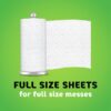 Bounty Full Sheet Paper Towel (8 Double Plus Rolls) 3700067090