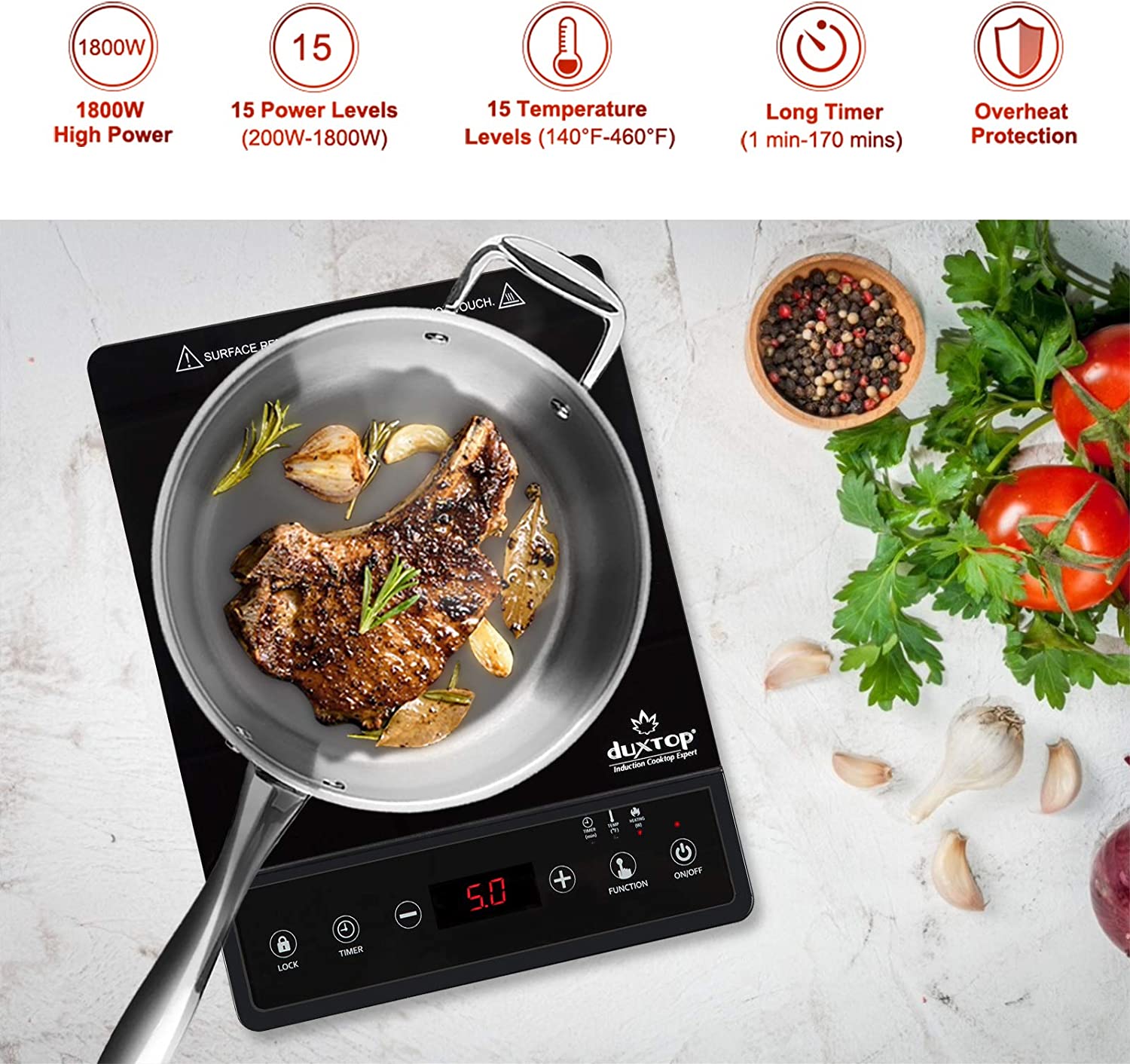 Duxtop 1800W Portable Induction Cooktop Countertop Burner, Black BT-180G3  Tested