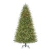 Home Decorators Collection 21LE31007 7.5 ft Grand Duchess Balsam Fir Christmas Tree