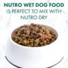 NUTRO Grain Free Wet Dog Food Cuts in Gravy Simmered Beef & Potato Stew 3.5 Ounce (Pack of 24)