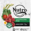 NUTRO NATURAL CHOICE Adult Dry Dog Food Lamb & Brown Rice Recipe 12 Pound (Pack of 1)