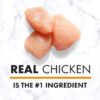 NUTRO NATURAL CHOICE Small Bites Adult Dry Dog Food Chicken & Brown Rice Recipe 30 Pound (Pack of 1)