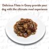 NUTRO ULTRA Grain Free Adult Wet Dog Food Filets in Gravy Deluxe Chicken Entrée With Tomatoes, Spring Vegetables, and a Hint of Basil 3.5 Ounce (Pack of 24) NUTRO ULTRA Grain Free Adult Wet Dog Food Filets in Gravy Deluxe Chicken Entrée With Tomatoes, Spring Vegetables, and a Hint of Basil 3.5 Ounce (Pack of 24)