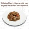 NUTRO ULTRA Grain Free Adult Wet Dog Food Filets in Gravy Signature Duck Entrée With Spring Vegetables and a Hint of Basil 3.5 Ounce (Pack of 24) NUTRO ULTRA Grain Free Adult Wet Dog Food Filets in Gravy Signature Duck Entrée With Spring Vegetables and a Hint of Basil 3.5 Ounce (Pack of 24)