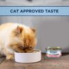 Natural Balance L.I.D. Limited Ingredient Diets Salmon & Green Pea Formula Grain-Free Canned Cat Food 5.5-oz case of 24