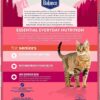 Natural Balance Original Ultra Indoor Chicken & Salmon Meal Dry Cat Food 15 Pound (Pack of 1)