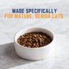 Natural Balance Original Ultra Indoor Chicken & Salmon Meal Dry Cat Food 15 Pound (Pack of 1)
