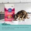 Natural Balance Original Ultra Indoor Chicken & Salmon Meal Dry Cat Food 15 Pound (Pack of 1)