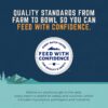 Natural Balance Original Ultra Indoor Chicken & Salmon Meal Dry Cat Food 15 Pound (Pack of 1)