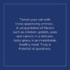 Natural Balance Platefulls Chicken & Giblets Formula in Gravy Grain-Free Cat Food Pouches 3-oz pouch case of 24