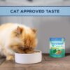 Natural Balance Platefulls Indoor Formula Turkey Salmon & Chicken in Gravy Grain-Free Cat Food Pouches 3-oz pouch case of 24