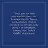 Natural Balance Platefulls Turkey, Chicken & Duck Formula in Gravy Grain-Free Cat Food Pouches 3-oz pouch case of 24