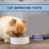 Natural Balance Ultra Premium Indoor Chicken Formula Canned Cat Food 5.5-oz case of 24