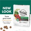Nutro Natural Choice Adult Lamb & Brown Rice Recipe Dry Dog Food 30 Pound (Pack of 1)
