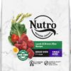 Nutro Natural Choice Small Bites Adult Lamb & Brown Rice Recipe Dry Dog Food 30 Pound (Pack of 1)