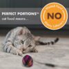 Nutro Perfect Portions Grain-Free Chicken & Liver Paté Recipe Cat Food Trays 2.6-oz case of 24