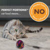 Nutro Perfect Portions Grain-Free Salmon & Tuna Paté Recipe Cat Food Trays 2.6-oz case of 24 twin-packs