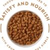 Nutro Ultra Large Breed Adult Dry Dog Food 15 Pound (Pack of 1)