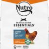 Nutro Wholesome Essentials Chicken & Brown Rice Recipe Senior Dry Cat Food 14 Pound (Pack of 1)