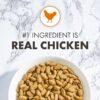 Nutro Wholesome Essentials Chicken & Brown Rice Recipe Senior Dry Cat Food 14 Pound (Pack of 1) Nutro Wholesome Essentials Chicken & Brown Rice Recipe Senior Dry Cat Food 14 Pound (Pack of 1)