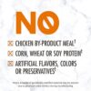 Nutro Wholesome Essentials Chicken & Brown Rice Recipe Senior Dry Cat Food 14 Pound (Pack of 1) Nutro Wholesome Essentials Chicken & Brown Rice Recipe Senior Dry Cat Food 14 Pound (Pack of 1)