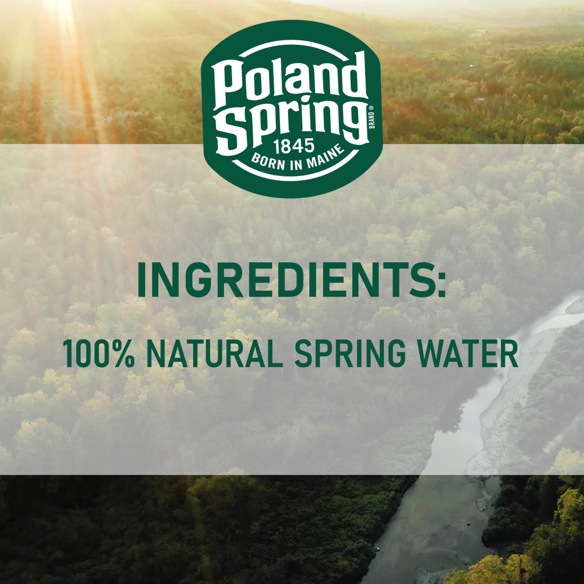 Poland Spring Spring Water, 100% Natural - 12 pack, 16.9 fl oz