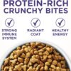 Purina ONE Hairball Control with Real Chicken High Fiber Natural Adult Dry Cat Food 16 Lb. Bag Purina ONE Hairball Control with Real Chicken High Fiber Natural Adult Dry Cat Food 16 Lb. Bag