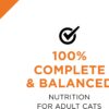 Purina Pro Plan Adult Salmon Shrimp & Rice Entrée in Sauce Canned Cat Food 3-oz case of 24