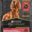 Purina Pro Plan Adult Sensitive Skin & Stomach Salmon & Rice Formula Dry Dog Food 16 Pound (Pack of 1)