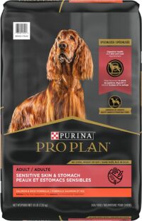 Purina Pro Plan Adult Sensitive Skin & Stomach Salmon & Rice Formula Dry Dog Food 16 Pound (Pack of 1)