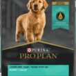 Purina Pro Plan High Protein Chicken & Rice Formula Dry Puppy Food 18 lb. Bag