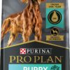 Purina Pro Plan Puppy Sensitive Skin & Stomach Salmon & Rice Dry Dog Food 16 lb. Bag
