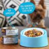 Weruva Chicken-Free Just 4 Me Variety Pack Grain-Free Canned Dog Food 14 Ounce (Pack of 12) Weruva Chicken-Free Just 4 Me Variety Pack Grain-Free Canned Dog Food 14 Ounce (Pack of 12)