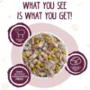 Weruva Hot Dayam! With Luscious Lamb in Gelee Grain-Free Canned Dog Food 14 Ounce (Pack of 12) Weruva Hot Dayam! With Luscious Lamb in Gelee Grain-Free Canned Dog Food 14 Ounce (Pack of 12)