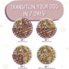 Weruva Hot Dayam! With Luscious Lamb in Gelee Grain-Free Canned Dog Food 14 Ounce (Pack of 12) Weruva Hot Dayam! With Luscious Lamb in Gelee Grain-Free Canned Dog Food 14 Ounce (Pack of 12)