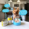 Weruva Paw Lickin' Chicken in Gravy Grain-Free Canned Dog Food 14-oz can case of 12 Weruva Paw Lickin' Chicken in Gravy Grain-Free Canned Dog Food 14-oz can case of 12