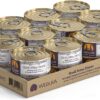 Weruva Steak Frites Dinner with Beef, Pumpkin & Sweet Potatoes in Gravy Grain-Free Canned Dog Food 5.5 Ounce (Pack of 24)