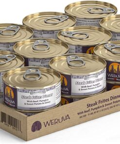 Weruva Steak Frites Dinner with Beef, Pumpkin & Sweet Potatoes in Gravy Grain-Free Canned Dog Food 5.5 Ounce (Pack of 24)