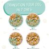 Weruva That's My Jam! With Chicken & Lamb in Gelee Grain-Free Canned Dog Food 14 Ounce (Pack of 12) Weruva That's My Jam! With Chicken & Lamb in Gelee Grain-Free Canned Dog Food 14 Ounce (Pack of 12)