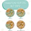 Weruva That's My Jam! With Chicken & Lamb in Gelee Grain-Free Canned Dog Food 5.5 Ounce (Pack of 24) Weruva That's My Jam! With Chicken & Lamb in Gelee Grain-Free Canned Dog Food 5.5 Ounce (Pack of 24)