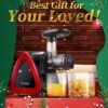 Aobosi Slow Masticating Juicer Machine, Cold Press juicer Extractor, Quiet Motor, Reverse Function, High Nutrient Fruit and Vegetable Juice with Juice Jug & Brush for Cleaning