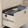 Bush Furniture Salinas Antique White 2-Drawer File Cabinet