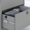 Bush Furniture Salinas Cape Cod Gray 2-Drawer File Cabinet